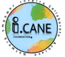 iCane Foundation
